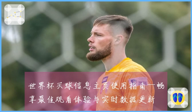 世界杯买球信息主页使用指南—畅享最佳观看体验与实时数据更新