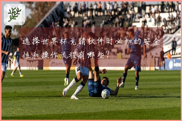 选择世界杯竞猜软件时必知的安全性和操作流程有哪些？