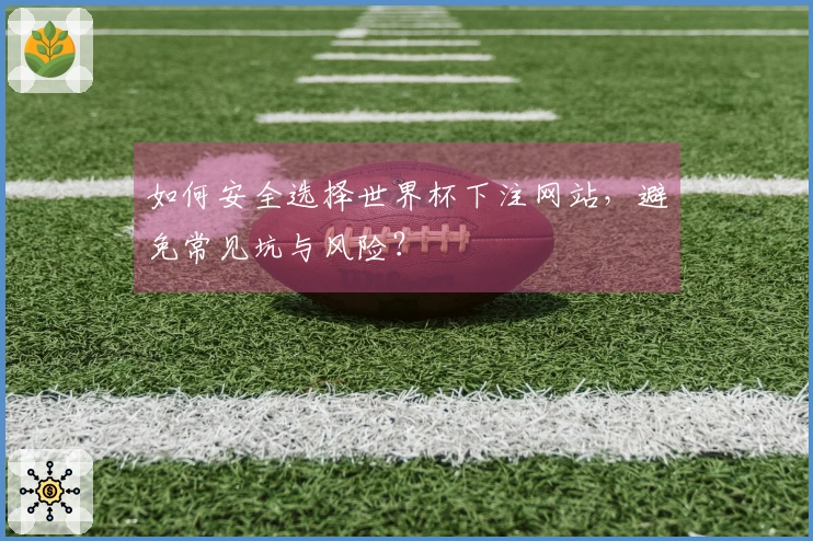 如何安全选择世界杯下注网站，避免常见坑与风险？