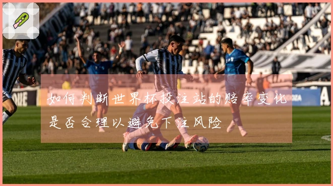 如何判断世界杯投注站的赔率变化是否合理以避免下注风险