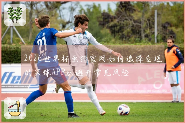 2026世界杯竞猜官网如何选择合适的买球APP以避开常见风险