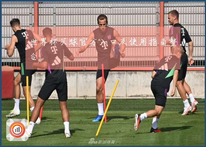 世界杯买球官方入口及使用指南整合