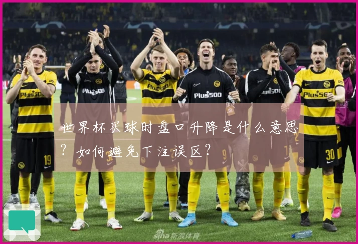 世界杯买球时盘口升降是什么意思？如何避免下注误区？