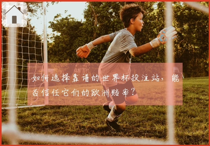 如何选择靠谱的世界杯投注站，能否信任它们的欧洲赔率？