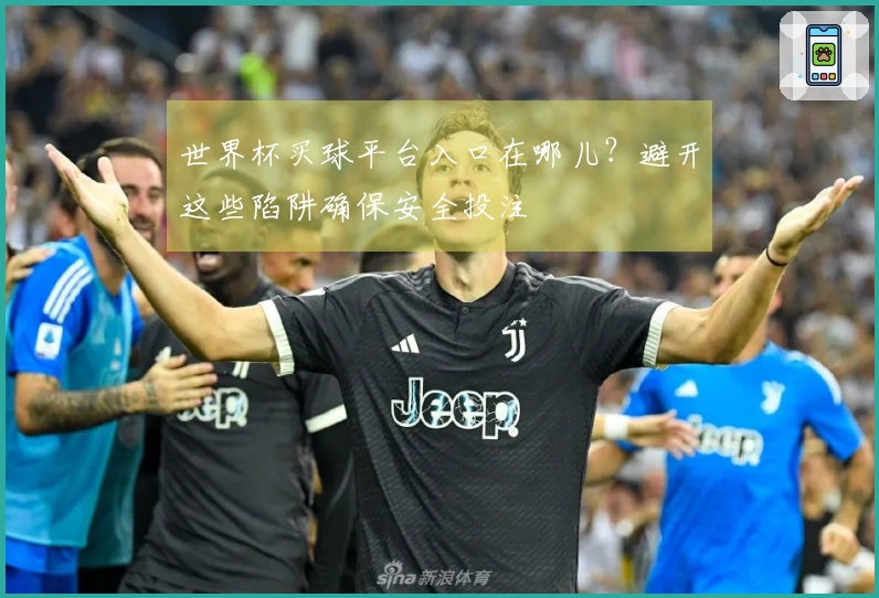 世界杯买球平台入口在哪儿？避开这些陷阱确保安全投注