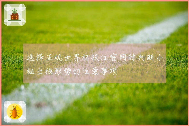 选择正规世界杯投注官网时判断小组出线形势的注意事项