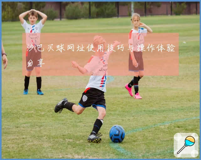 沙巴买球网址使用技巧与操作体验分享