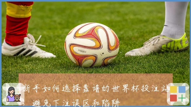 新手如何选择靠谱的世界杯投注站，避免下注误区和陷阱