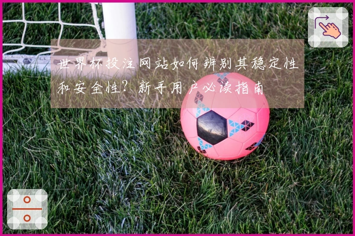 世界杯投注网站如何辨别其稳定性和安全性？新手用户必读指南