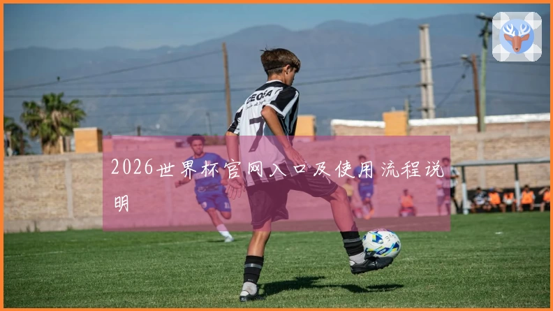 2026世界杯官网入口及使用流程说明