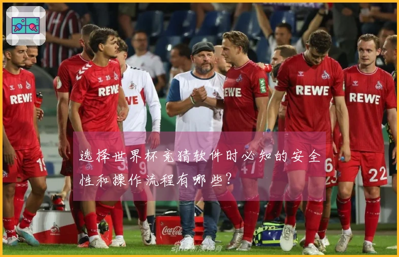 选择世界杯竞猜软件时必知的安全性和操作流程有哪些？
