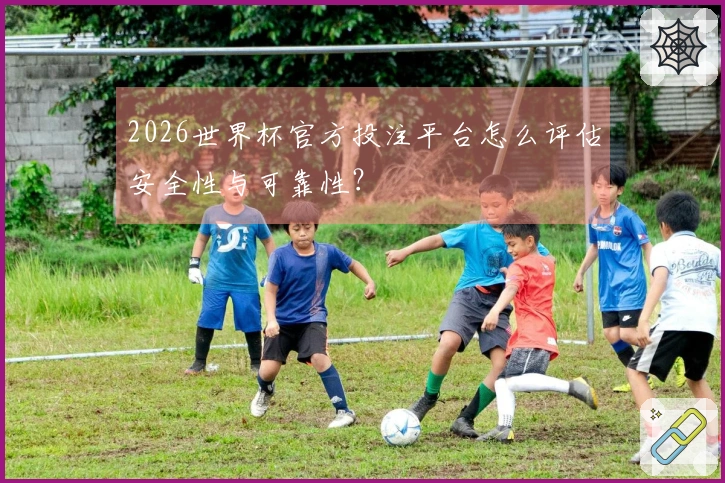 2026世界杯官方投注平台怎么评估安全性与可靠性？