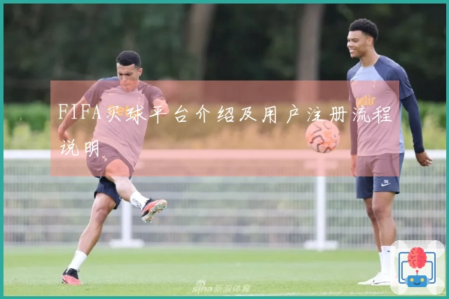 FIFA买球平台介绍及用户注册流程说明