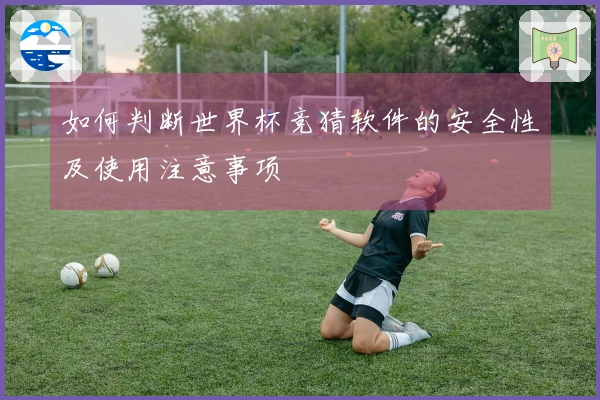 如何判断世界杯竞猜软件的安全性及使用注意事项