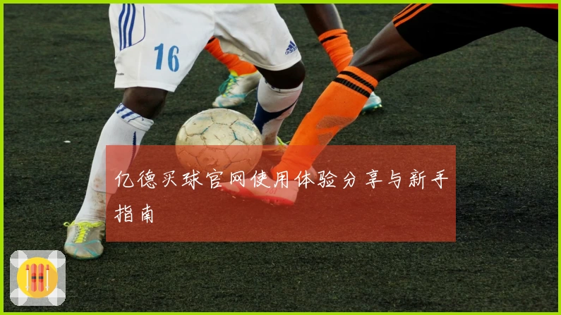 亿德买球官网使用体验分享与新手指南