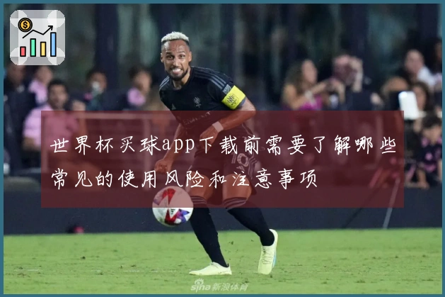世界杯买球app下载前需要了解哪些常见的使用风险和注意事项