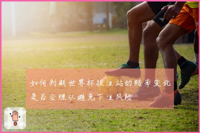 如何判断世界杯投注站的赔率变化是否合理以避免下注风险